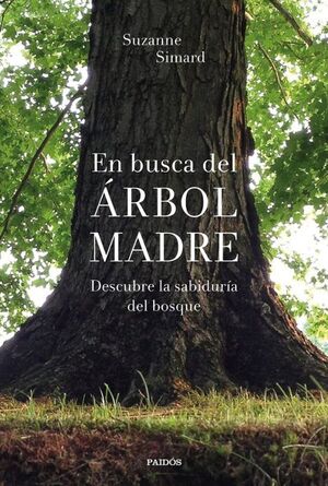 EN BUSCA DEL ÁRBOL MADRE: DESCUBRE LA SABIDURÍA DEL BOSQUE