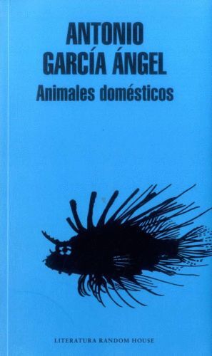 ANIMALES DOMESTICOS